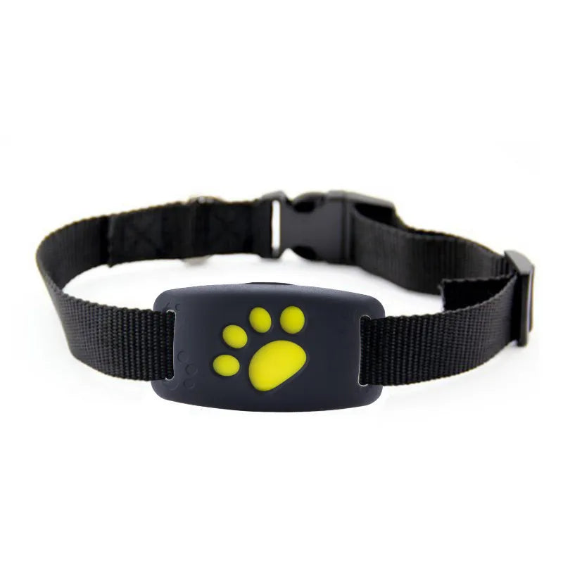 Rechargeable LED Light Dog Collar For Night Walks Outdoors