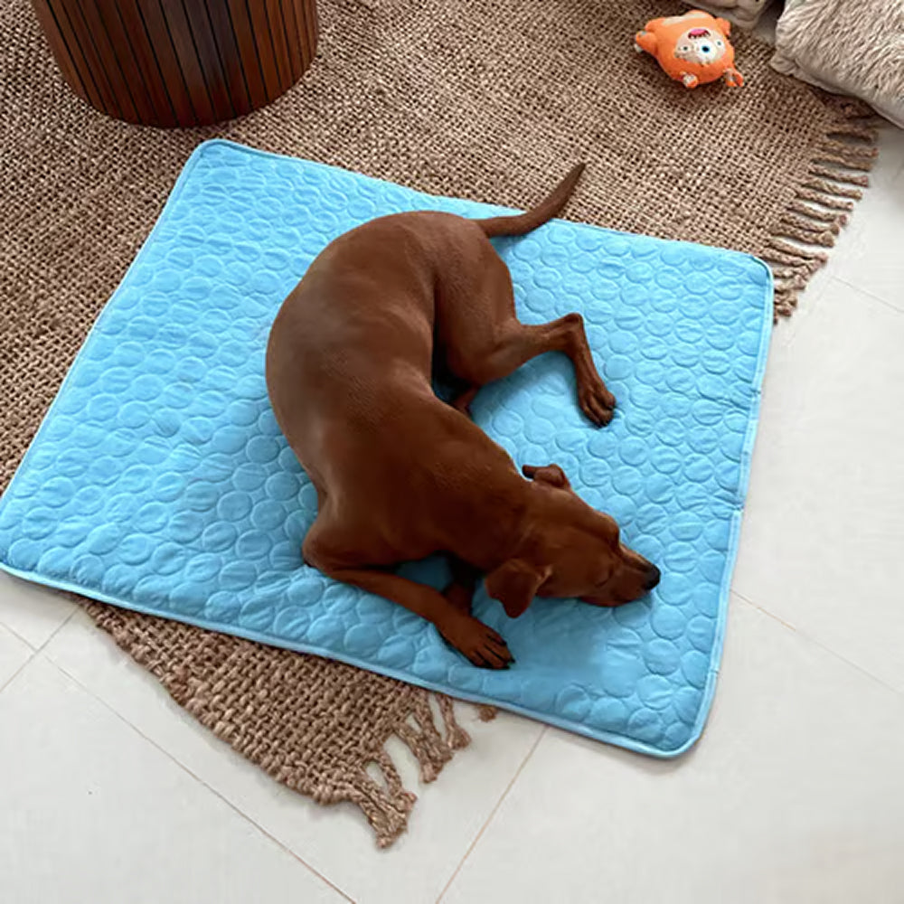 Cooling Mat For Dogs In Summer Weather To Keep Pets Comfortable