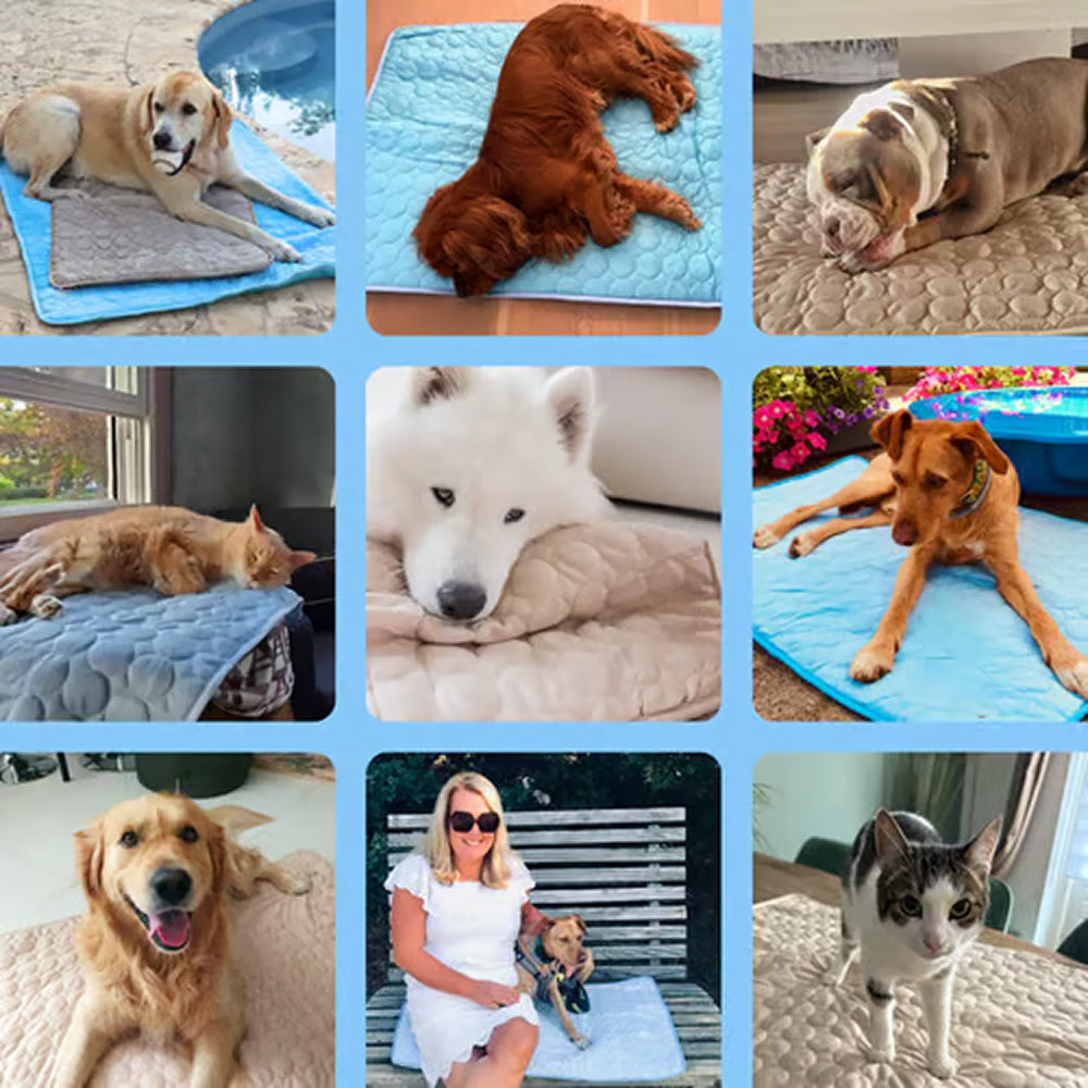 Cooling Mat For Dogs In Summer Weather To Keep Pets Comfortable