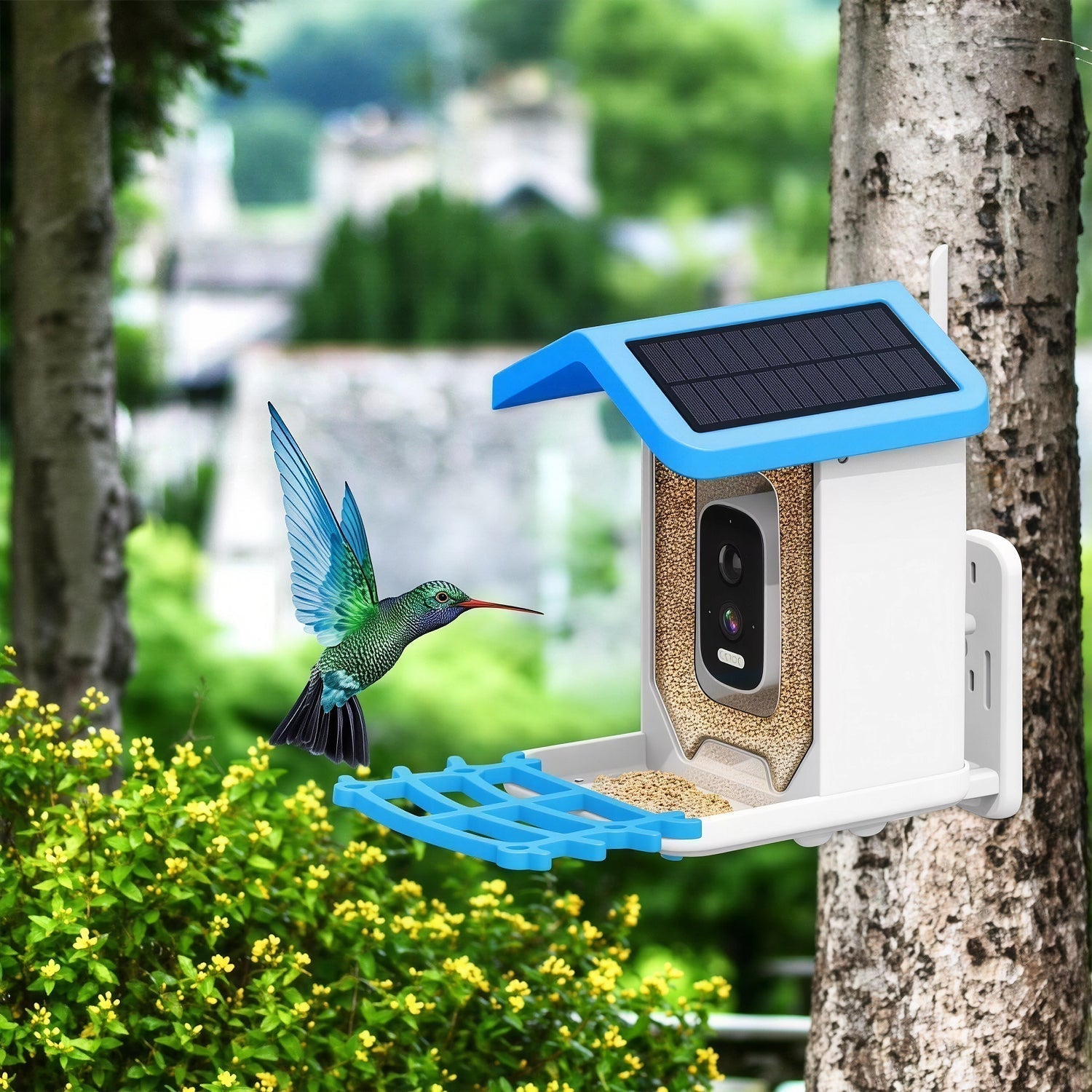 Smart Bird Feeder With AI Species ID, 2K Camera, Solar Power