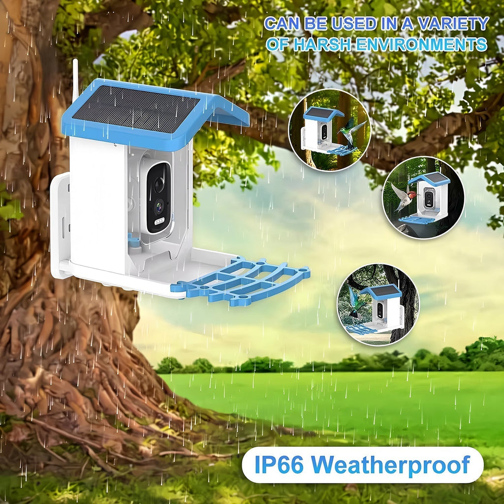 Smart Bird Feeder With AI Species ID, 2K Camera, Solar Power