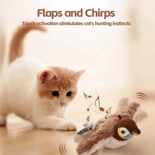 Bird Chase for cats