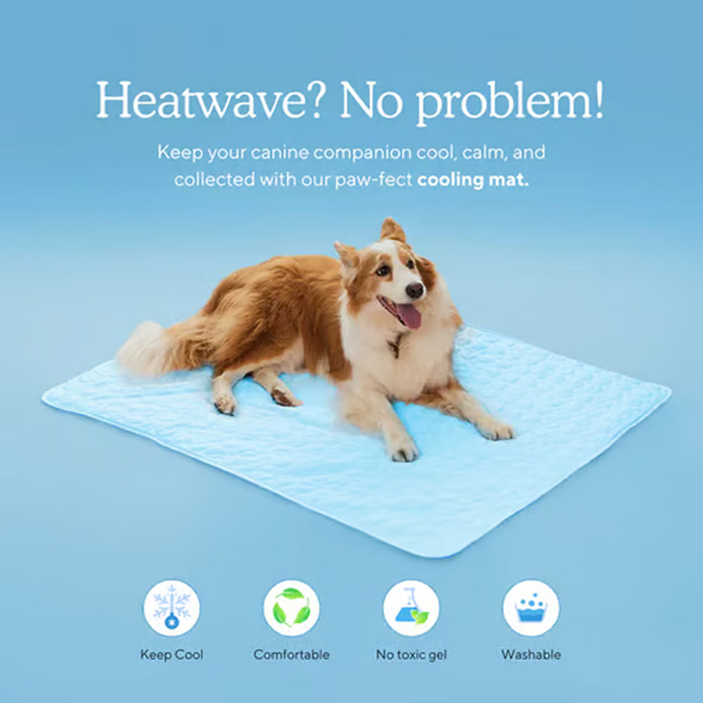 Cooling Mat For Dogs In Summer Weather To Keep Pets Comfortable