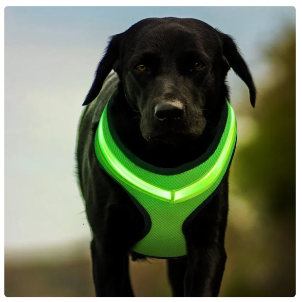 Hundesele med reflekterende striber og åndbar, justerbar pasform