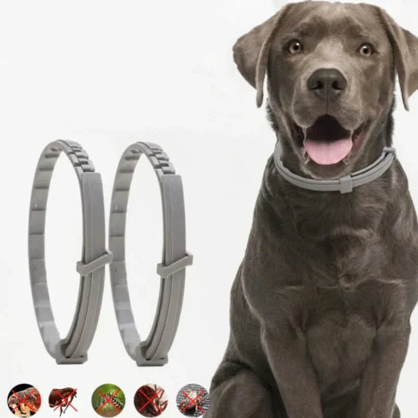 Ochranný obojek GuardPaws proti blechám a klíšťatům pro psy a kočky až na osm týdnů
