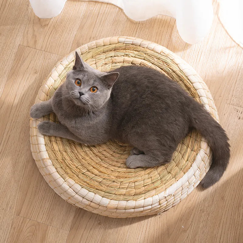 Cozy Round Cat Bed With Wool Felt Handmade Nest For Cats