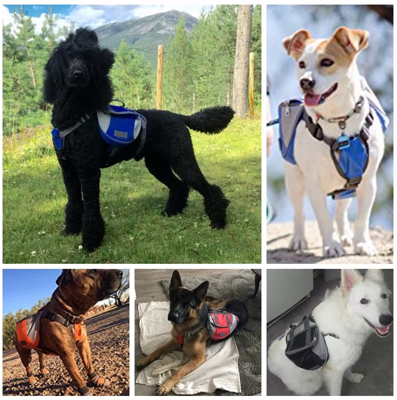 Waterproof Outdoor Dog Backpack With Adjustable Fit
