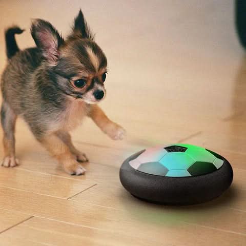 Bola Interativa NovaPulse para Cães com Movimentos Imprevisíveis para Cães Ativos