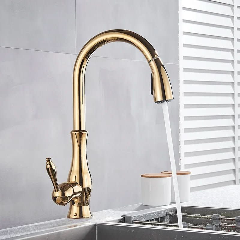 Goldstream Pull Out Kitchen Mixer With 360 Degree Rotation