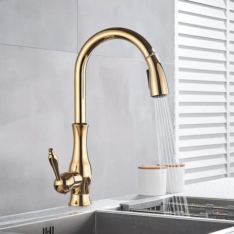 Goldstream Pull Out Kitchen Mixer With 360 Degree Rotation