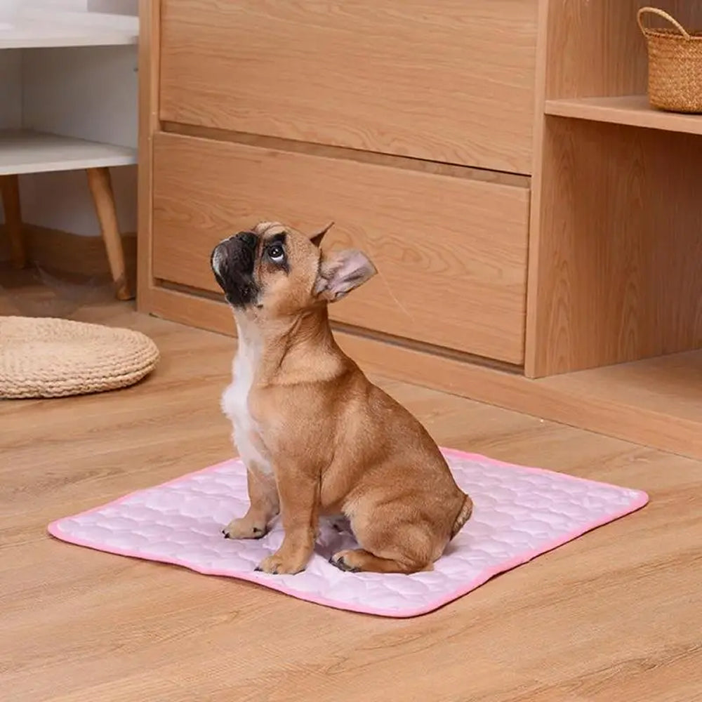 Cooling Mat For Dogs In Summer Weather To Keep Pets Comfortable