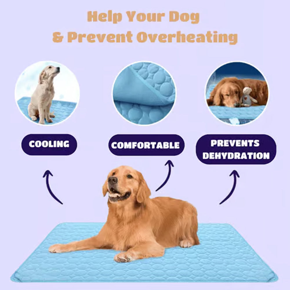 Cooling Mat For Dogs In Summer Weather To Keep Pets Comfortable