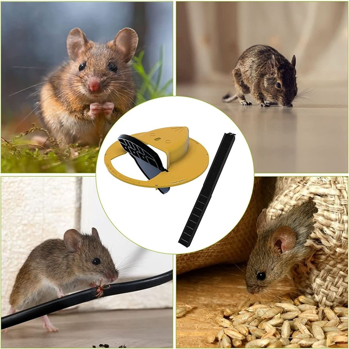 Trappola a Secchio ECOCATCH con Coperchio per Rilascio Sicuro di Più Topi