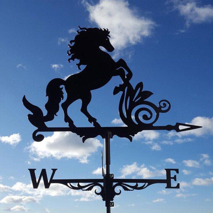 Weather Vane In Metal Construction With Animal Silhouette For Garden Or Roof