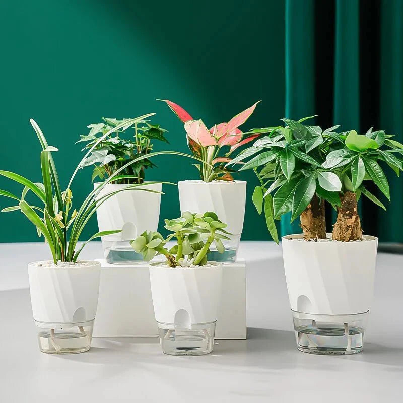 HYDROPOT Selbstbewässerungstopf für den Innenbereich Hydroponisches Gärtnern