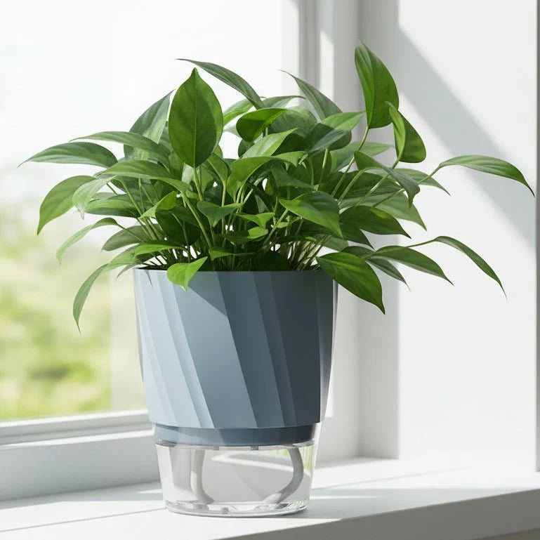 HYDROPOT Selbstbewässerungstopf für den Innenbereich Hydroponisches Gärtnern