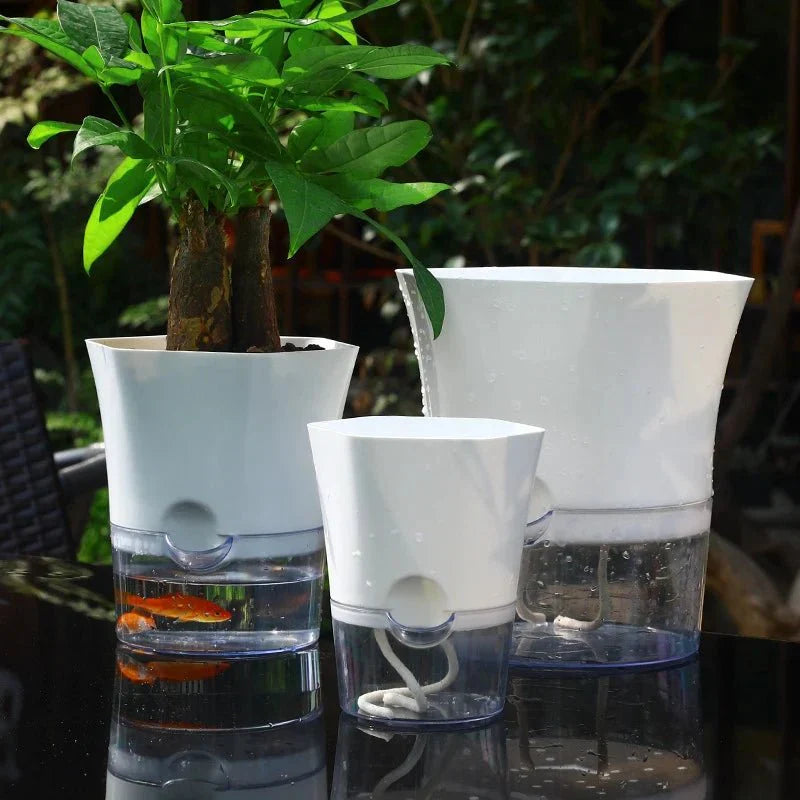 HYDROPOT Selbstbewässerungstopf für den Innenbereich Hydroponisches Gärtnern