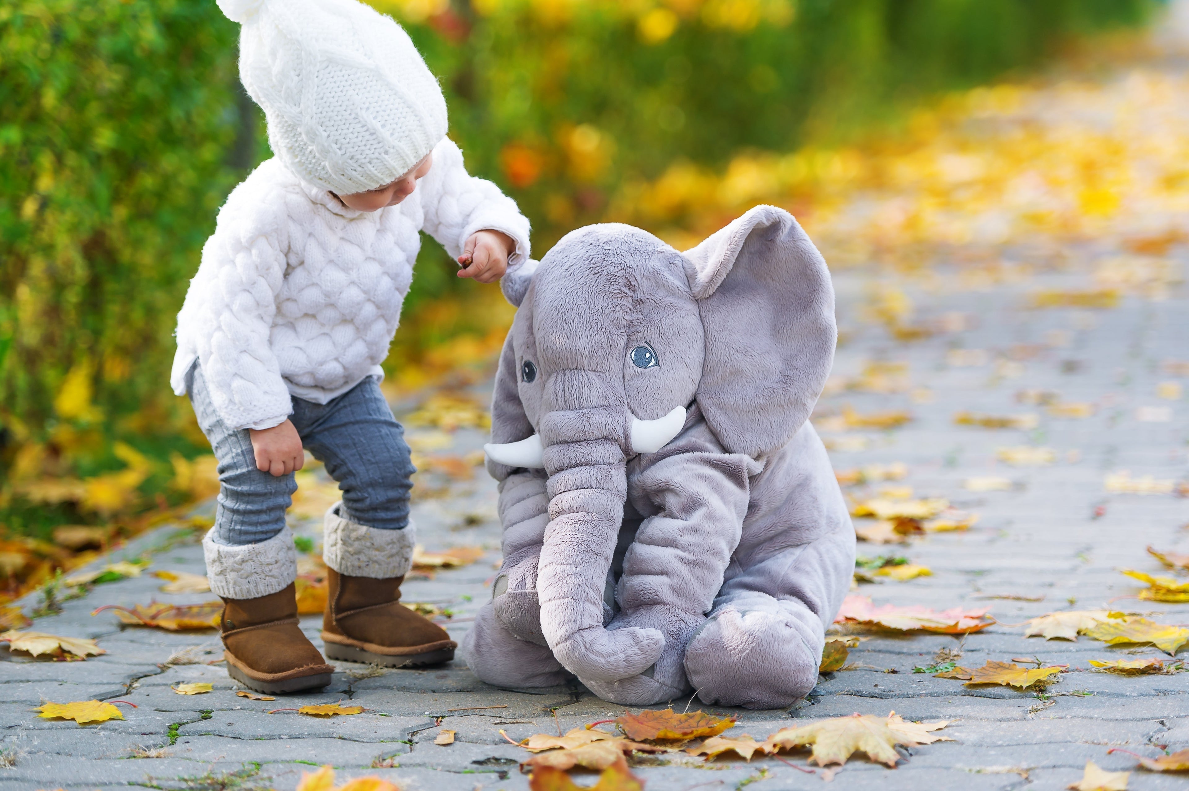 Little Jax Elephant