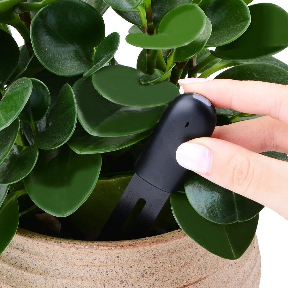 Capteur intelligent d'humidité du sol et de santé des plantes