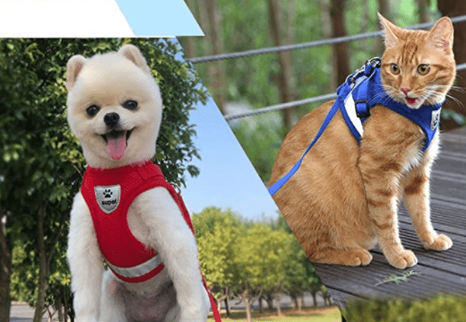 TrailTide ausbruchssicheres Katzen-Geschirr mit reflektierenden Details