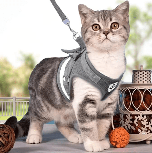TrailTide ausbruchssicheres Katzen-Geschirr mit reflektierenden Details