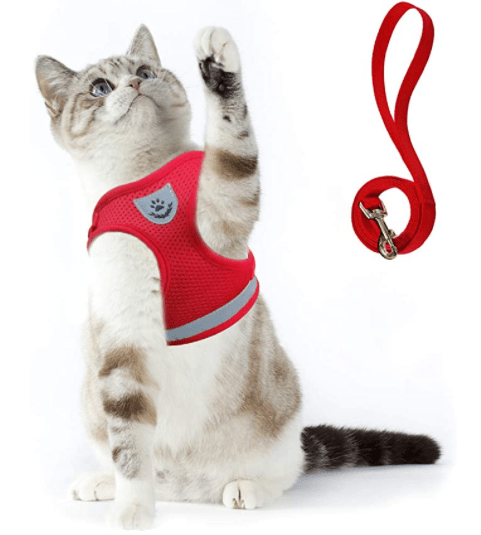 TrailTide ausbruchssicheres Katzen-Geschirr mit reflektierenden Details
