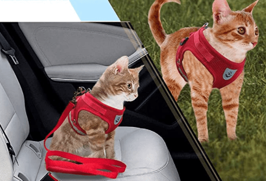 TrailTide ausbruchssicheres Katzen-Geschirr mit reflektierenden Details