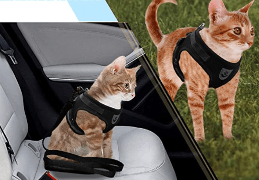 TrailTide ausbruchssicheres Katzen-Geschirr mit reflektierenden Details