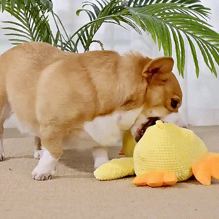 Durable Calming Duck Squeaky Plush Toy For Energetic Dogs