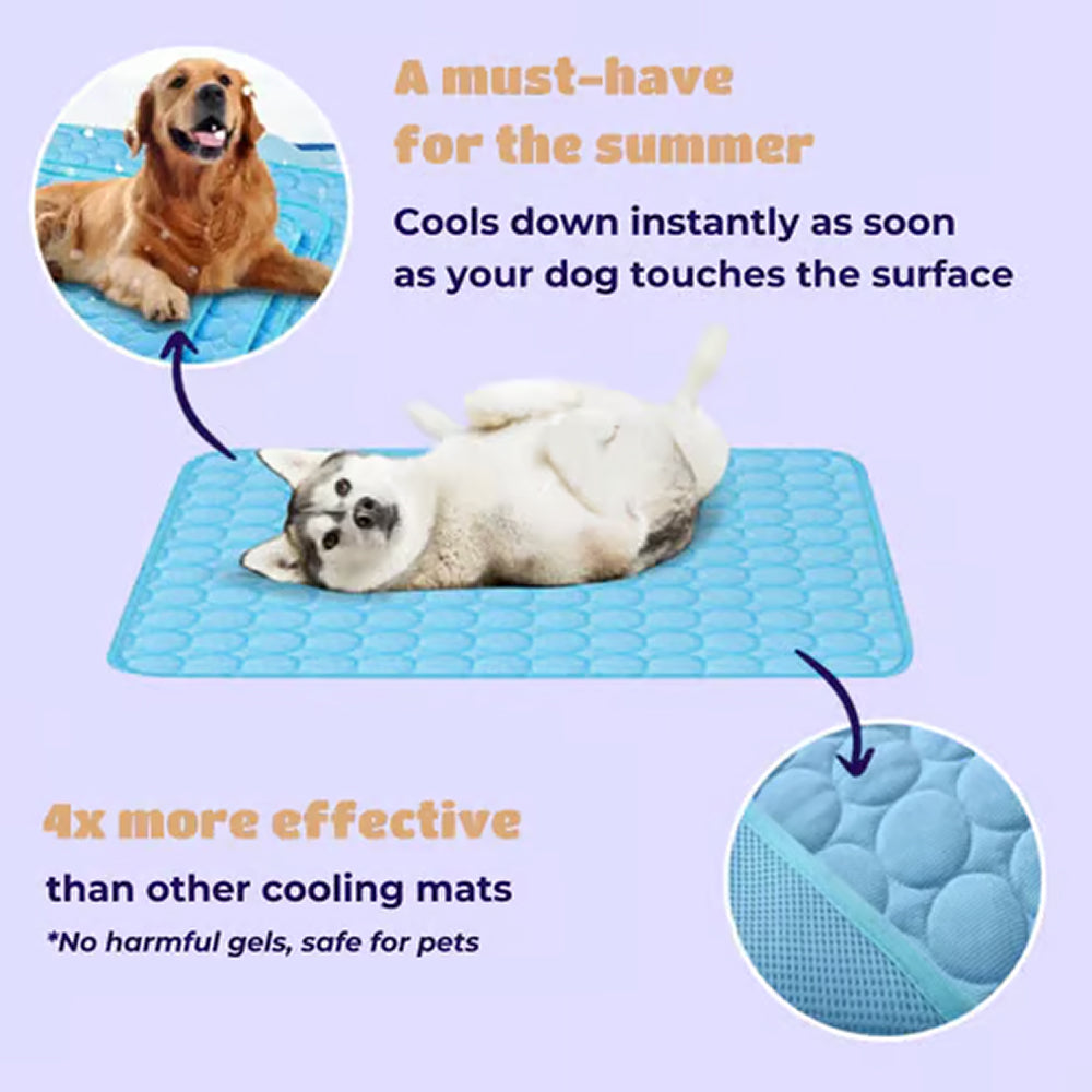 Cooling Mat For Dogs In Summer Weather To Keep Pets Comfortable