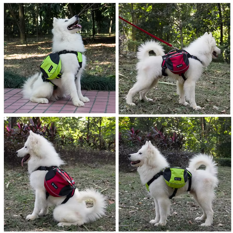 Waterproof Outdoor Dog Backpack With Adjustable Fit
