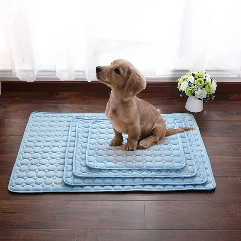 Cooling Mat For Dogs In Summer Weather To Keep Pets Comfortable