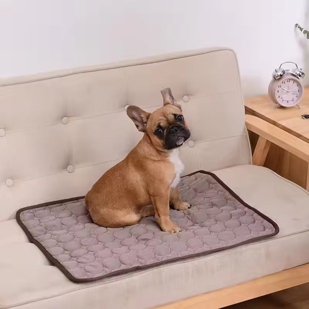 Cooling Mat For Dogs In Summer Weather To Keep Pets Comfortable