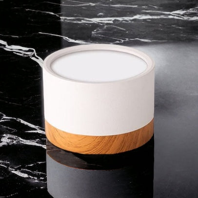 LumaNova Ceiling Light | LED Downlight for Living Room