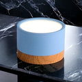 LumaNova Ceiling Light | LED Downlight for Living Room