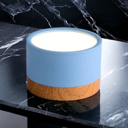LumaNova Ceiling Light | LED Downlight for Living Room
