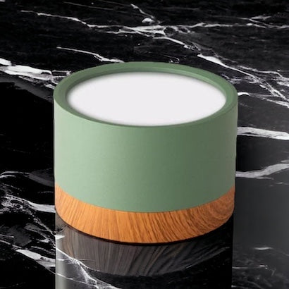 LumaNova Ceiling Light | LED Downlight for Living Room
