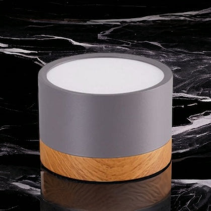 LumaNova Ceiling Light | LED Downlight for Living Room