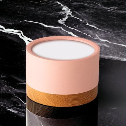 LumaNova Ceiling Light | LED Downlight for Living Room
