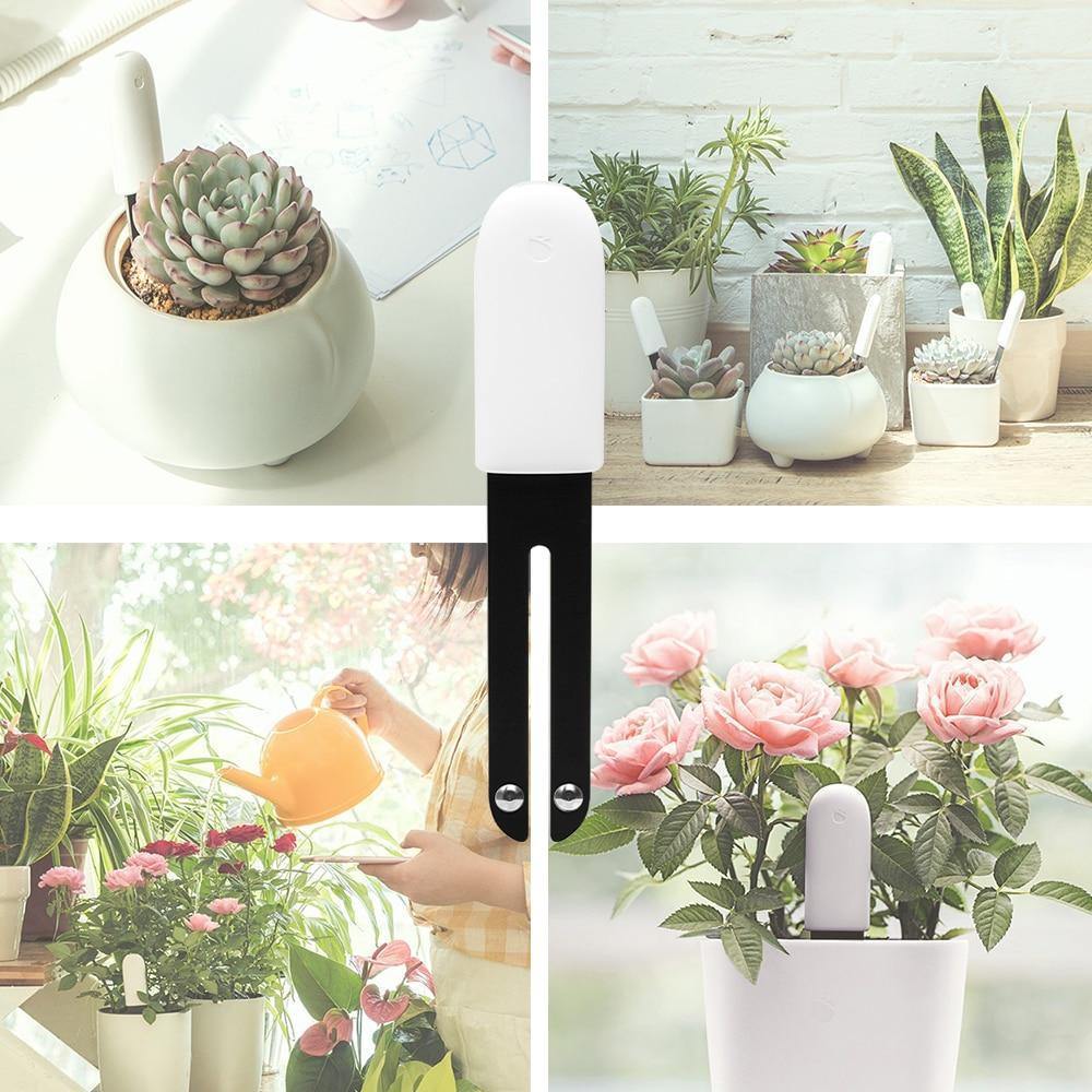Capteur intelligent d'humidité du sol et de santé des plantes