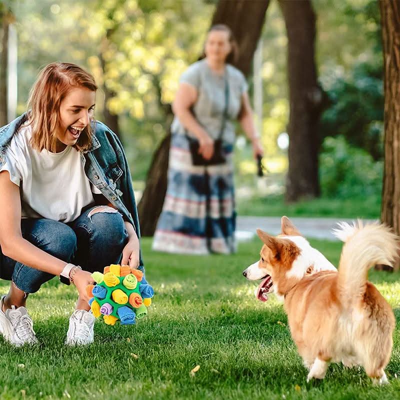 Tappetino Snuffle PawPlex per Cani e Gatti Stimolazione Interattiva del Naso