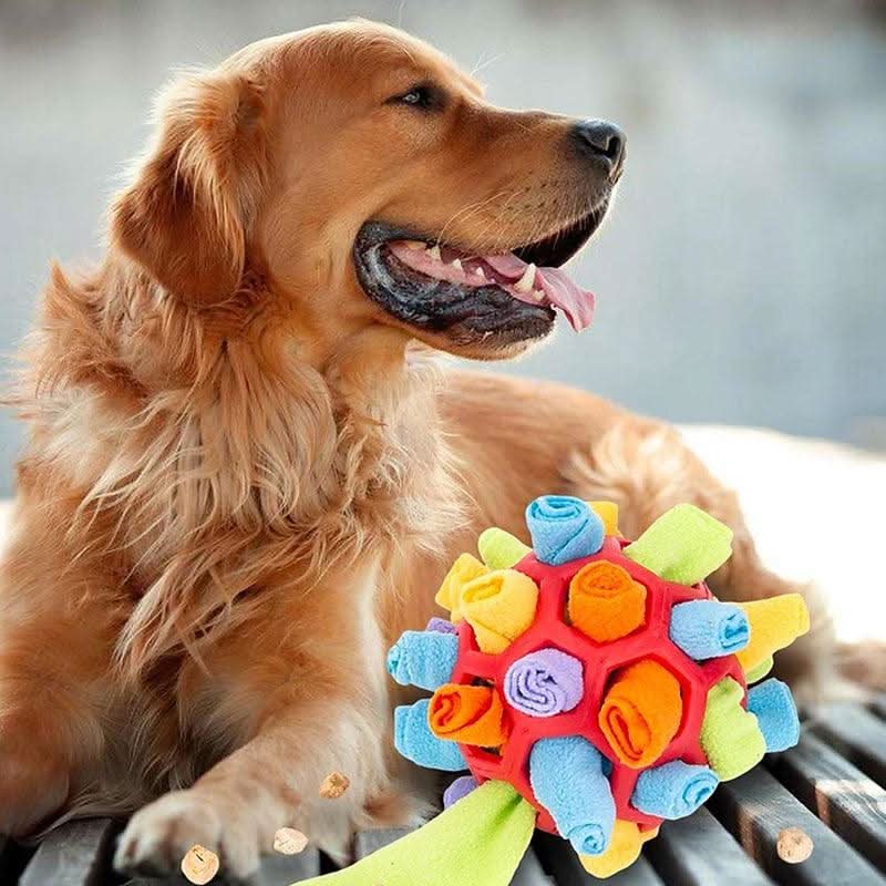 Tappetino Snuffle PawPlex per Cani e Gatti Stimolazione Interattiva del Naso