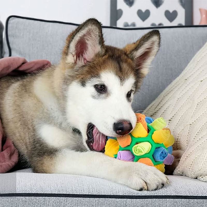 Tappetino Snuffle PawPlex per Cani e Gatti Stimolazione Interattiva del Naso