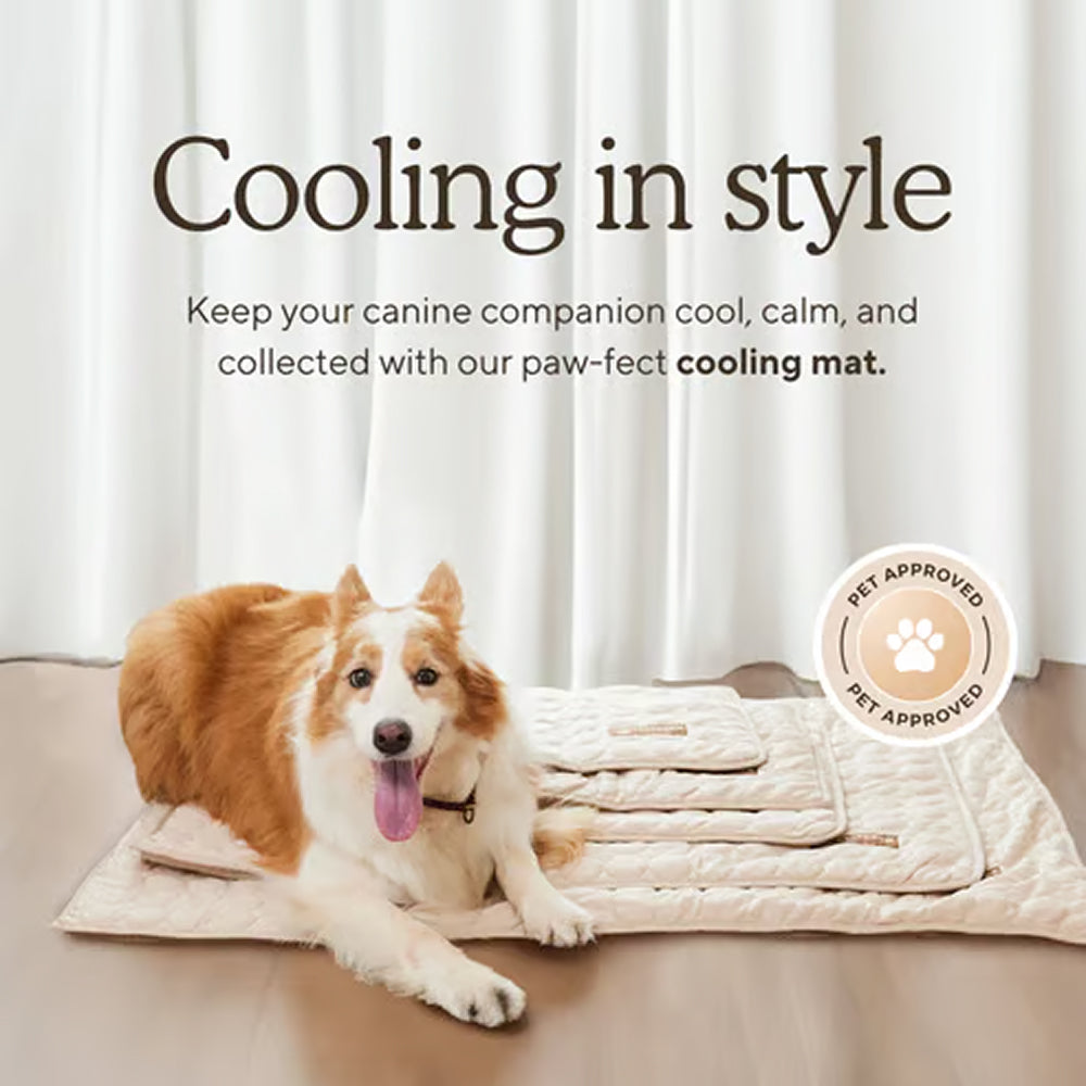 Cooling Mat For Dogs In Summer Weather To Keep Pets Comfortable