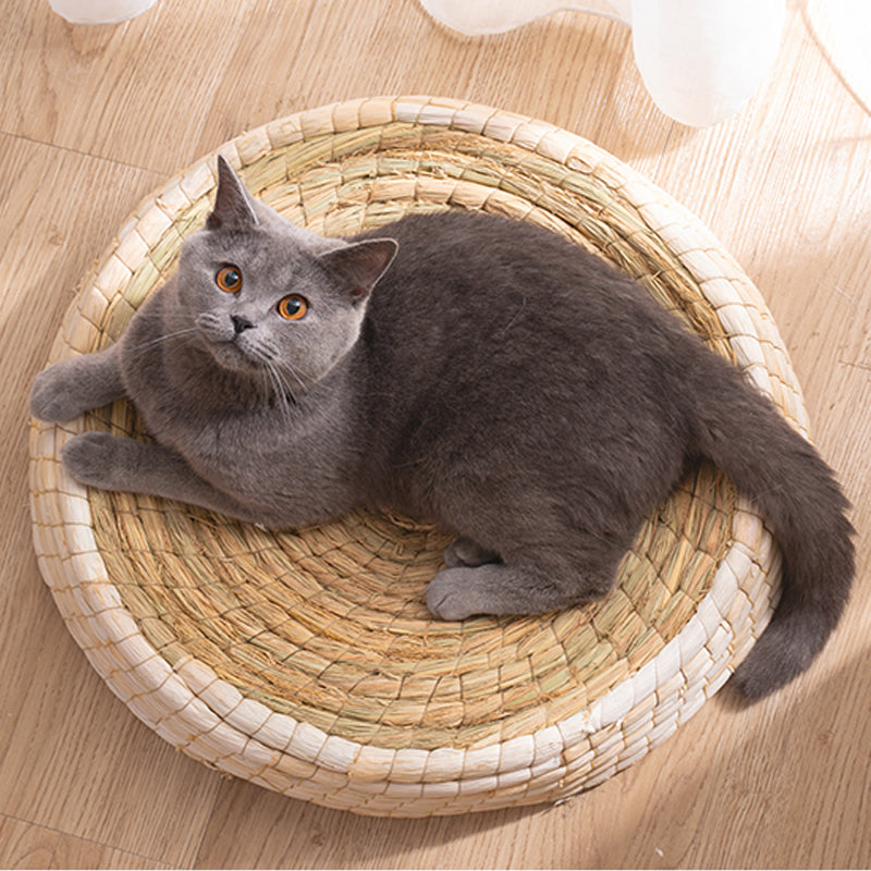 Cozy Round Cat Bed With Wool Felt Handmade Nest For Cats
