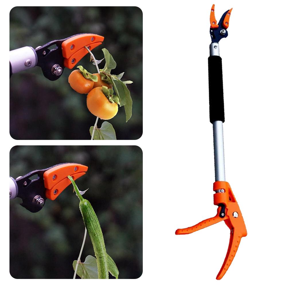 Extendable Pruning Shears With 37 To 60 Cm Reach For Tall Branches