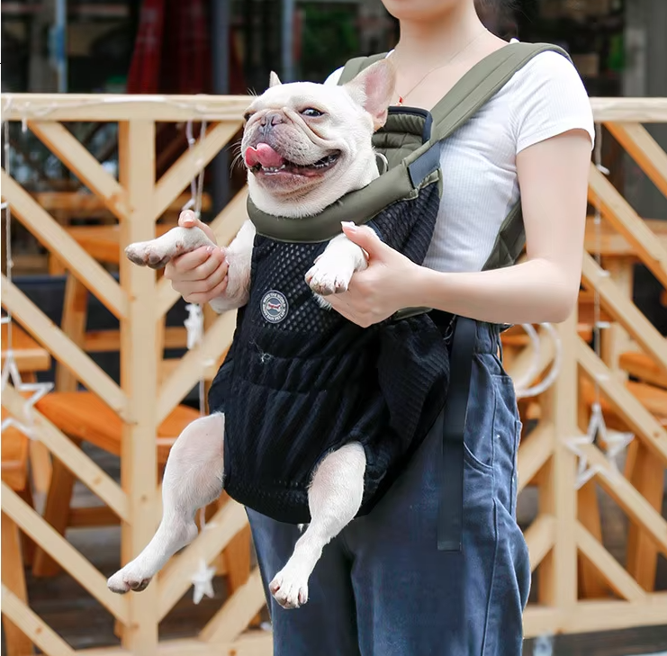 Zaino porta cane per passeggiate e escursioni in comfort