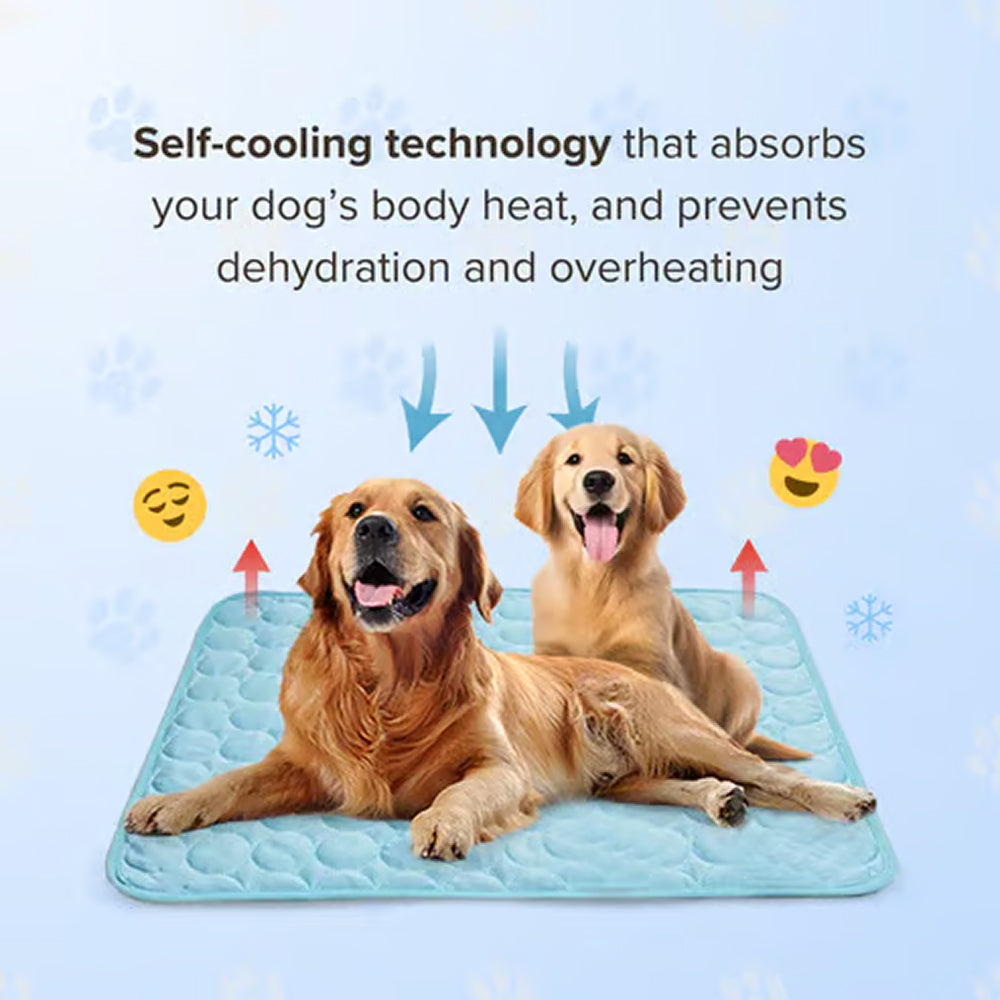 Cooling Mat For Dogs In Summer Weather To Keep Pets Comfortable